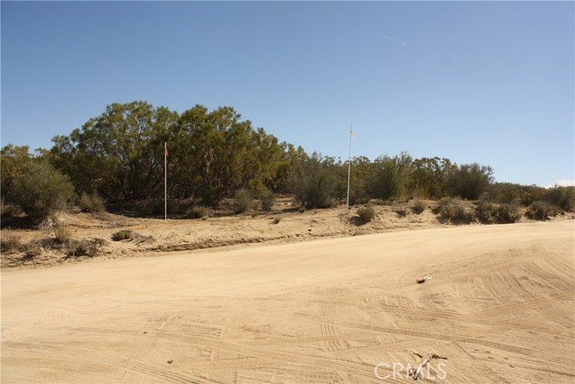 MLS #SW25222746 image #27
