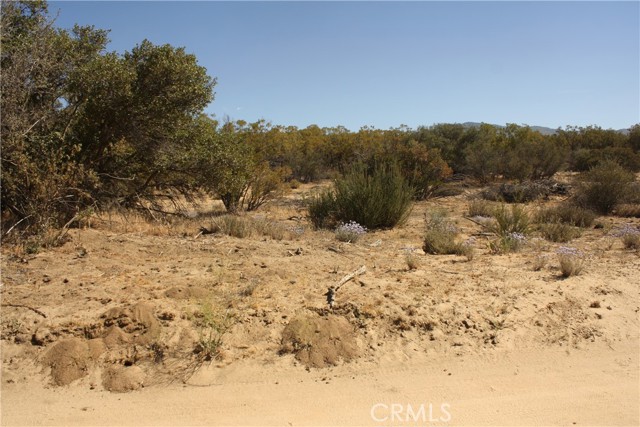 MLS #SW25222746 image #28
