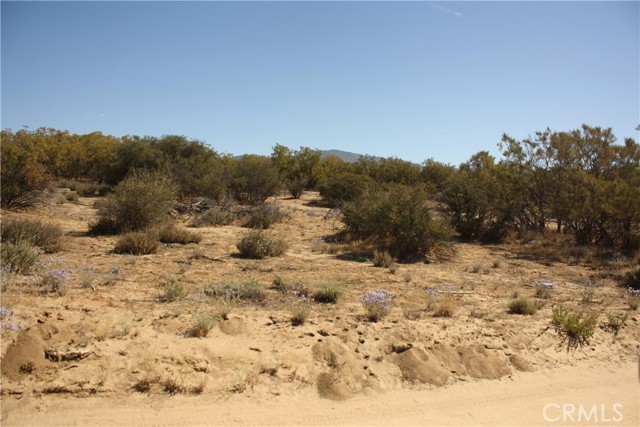 MLS #SW25222746 image #29