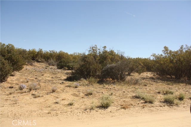 MLS #SW25222746 image #30