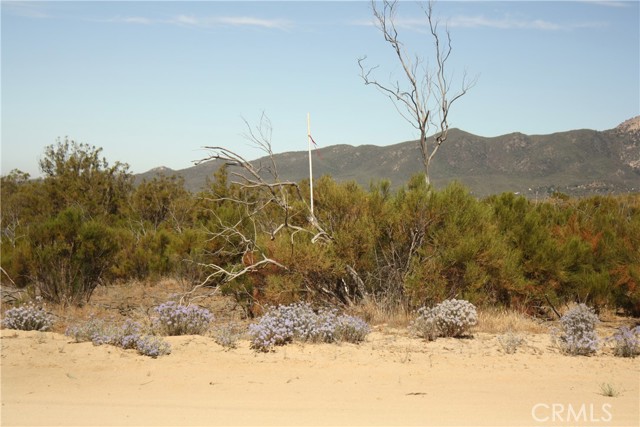 MLS #SW25222746 image #4