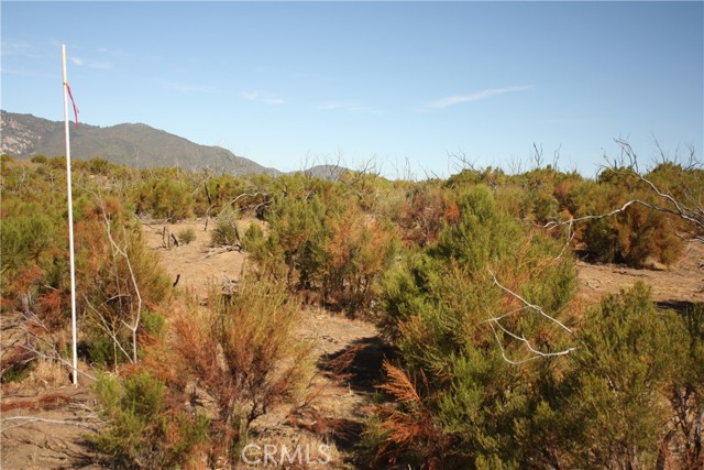 MLS #SW25222746 image #5