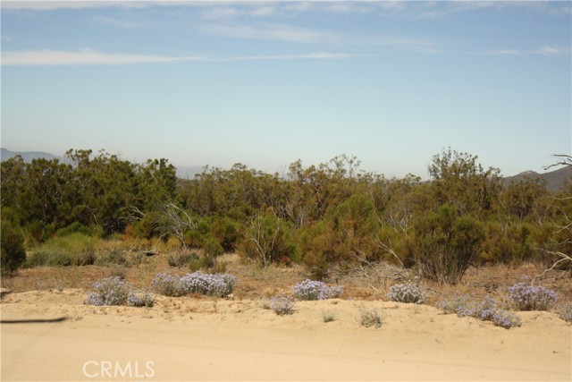 MLS #SW25222746 image #6