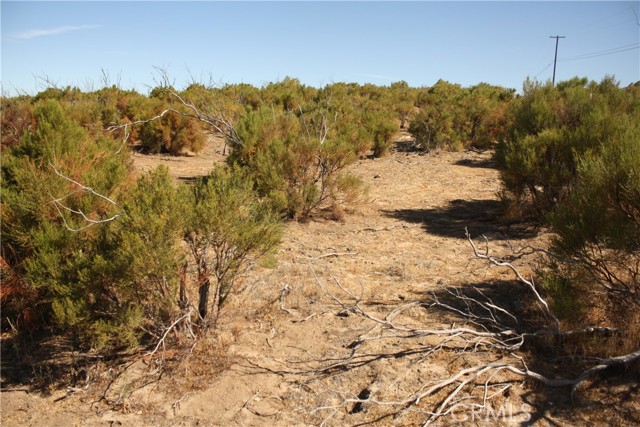 MLS #SW25222746 image #7