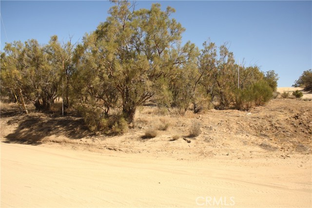 MLS #SW25222746 image #8