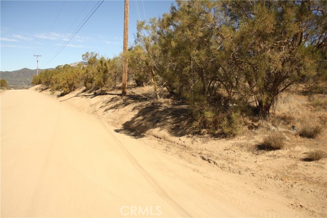 MLS #SW25222746 image #9
