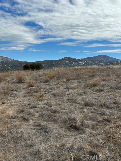 MLS #SW25223345 image #1