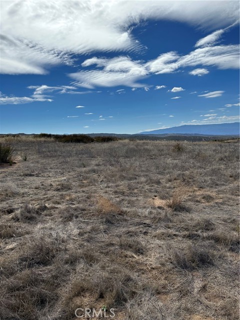 MLS #SW25223345 image #10