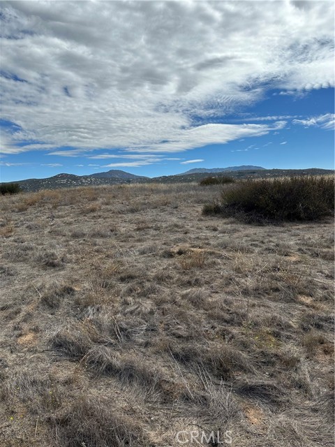 MLS #SW25223345 image #12