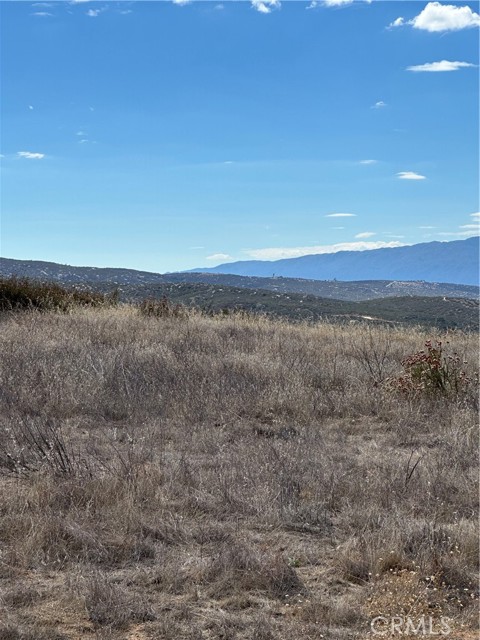 MLS #SW25223345 image #13