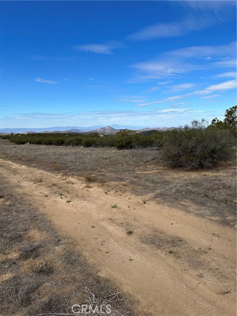 MLS #SW25223345 image #15