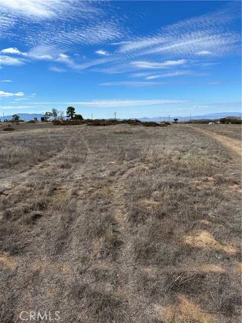 MLS #SW25223345 image #16