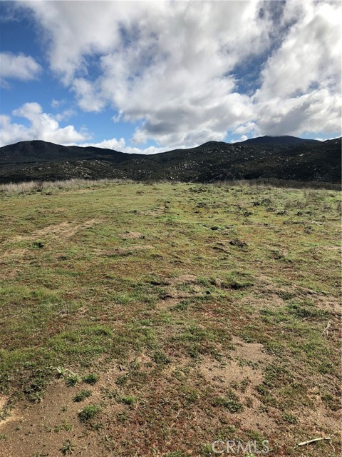 MLS #SW25223345 image #24