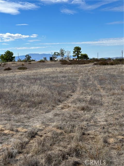 MLS #SW25223345 image #3