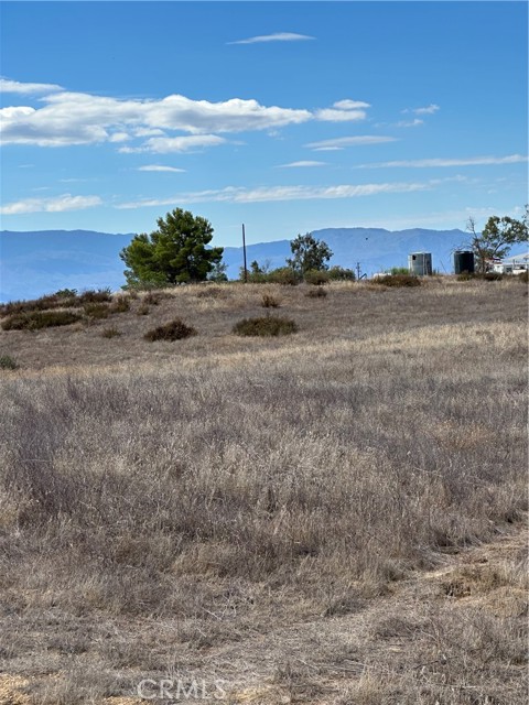 MLS #SW25223345 image #4