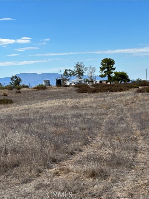MLS #SW25223345 image #5