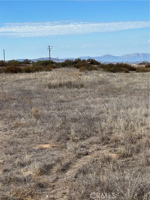 MLS #SW25223345 image #6