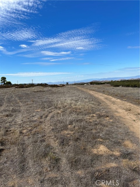 MLS #SW25223345 image #7