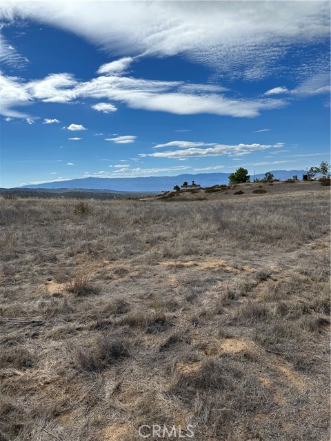 MLS #SW25223345 image #8