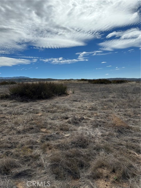 MLS #SW25223345 image #9