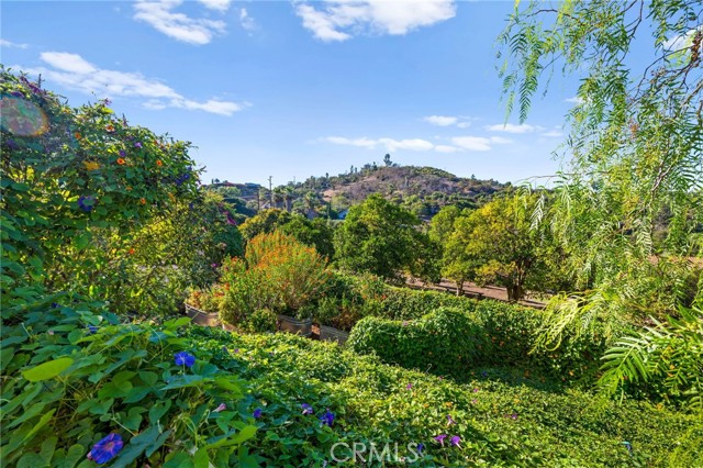 MLS #SW25223426 image #73