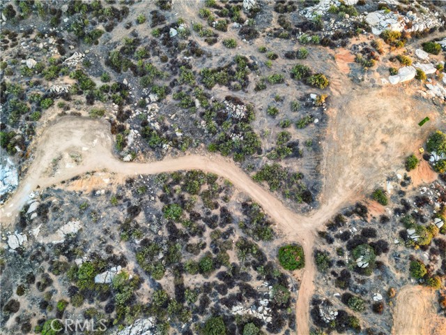 MLS #SW25223841 image #12