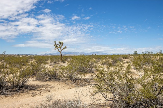 MLS #SW25224146 image #13