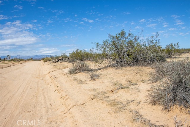 MLS #SW25224146 image #14