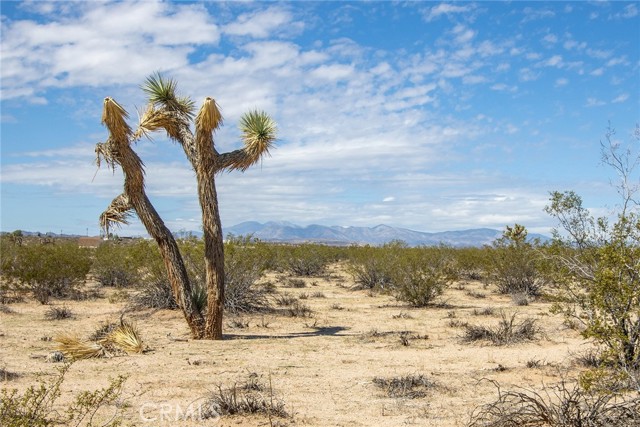 MLS #SW25224146 image #18