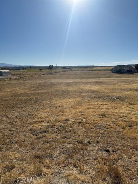 MLS #SW25224763 image #11