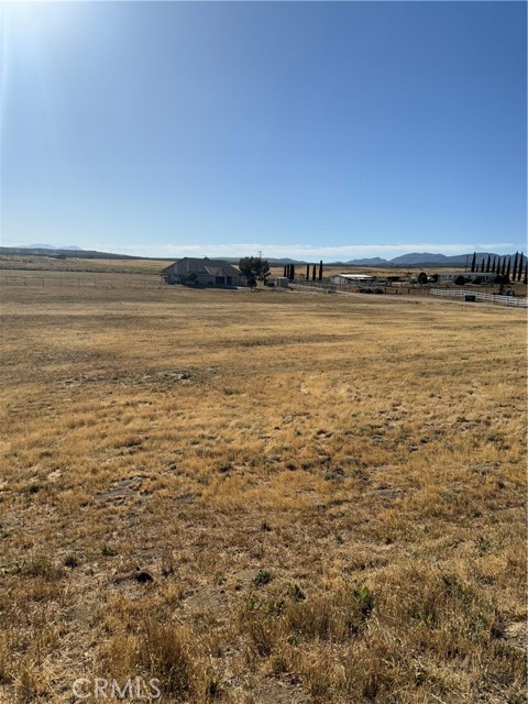 MLS #SW25224763 image #12