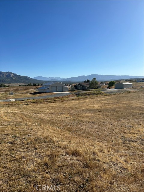 MLS #SW25224763 image #5