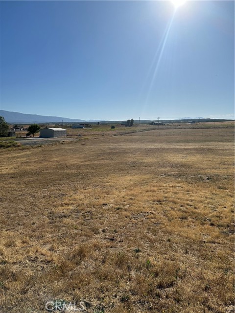 MLS #SW25224763 image #6