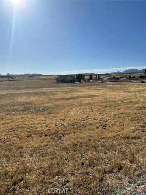 MLS #SW25224763 image #7