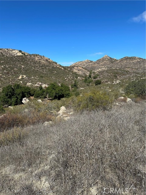 MLS #SW25224807 image #1