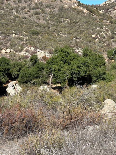 MLS #SW25224807 image #10