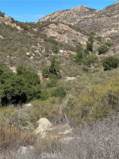 MLS #SW25224807 image #12