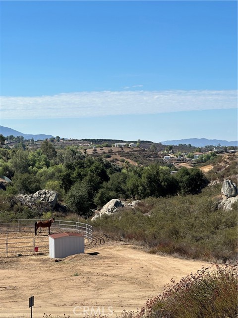 MLS #SW25224807 image #14