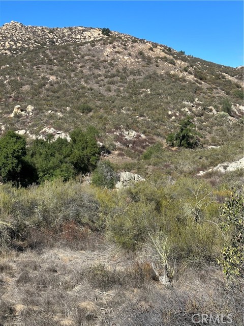 MLS #SW25224807 image #18