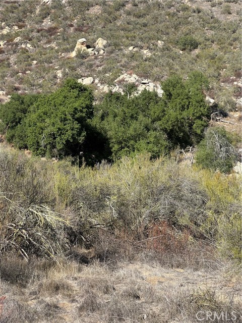 MLS #SW25224807 image #20