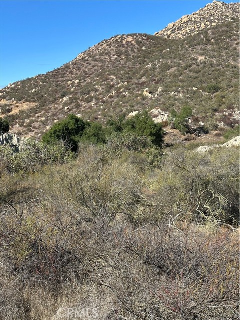 MLS #SW25224807 image #23