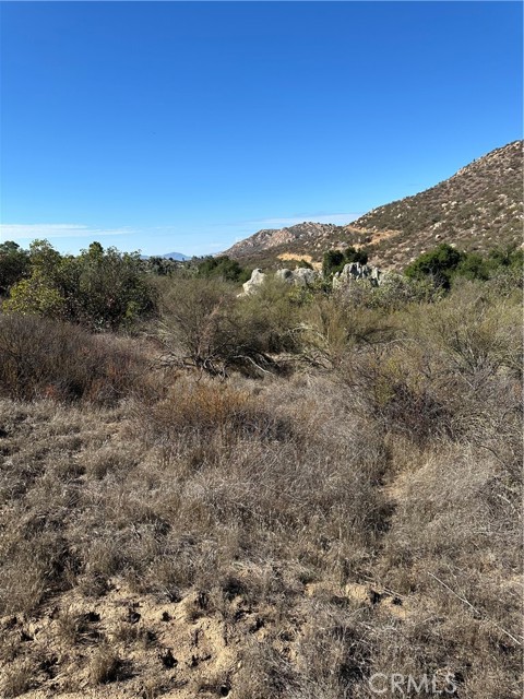 MLS #SW25224807 image #26