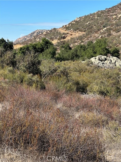 MLS #SW25224807 image #27