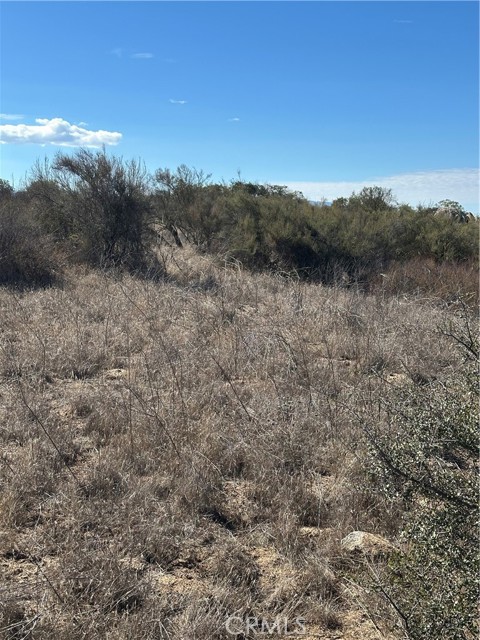 MLS #SW25224807 image #28