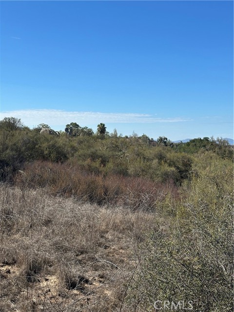 MLS #SW25224807 image #29