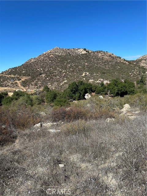 MLS #SW25224807 image #3