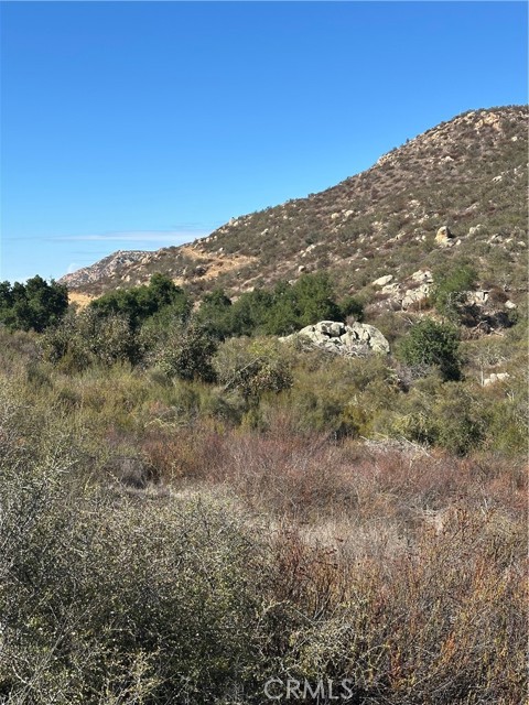 MLS #SW25224807 image #30