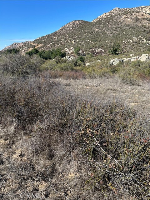 MLS #SW25224807 image #32