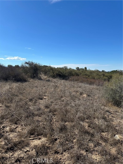 MLS #SW25224807 image #4