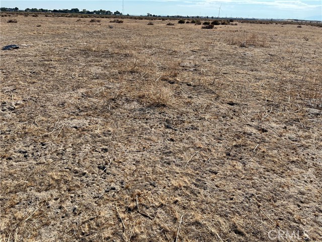 MLS #SW25225438 image #2
